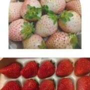 ヒメ日記 2026/03/28 22:25 投稿 ゆみこ feel＆airi