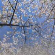 ヒメ日記 2026/04/06 06:05 投稿 ゆみこ feel＆airi