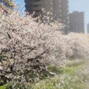 ヒメ日記 2026/04/08 12:25 投稿 ゆみこ feel＆airi