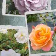 ヒメ日記 2026/04/09 09:35 投稿 ゆみこ feel＆airi