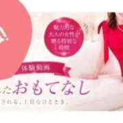 ヒメ日記 2026/08/22 01:55 投稿 ゆみこ feel＆airi