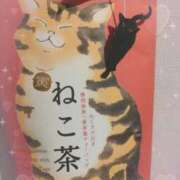 ヒメ日記 2026/08/26 08:25 投稿 ゆみこ feel＆airi