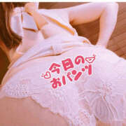 ヒメ日記 2026/10/15 00:40 投稿 ゆみこ feel＆airi