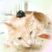 ヒメ日記 2025/05/14 20:36 投稿 あくび feel＆airi