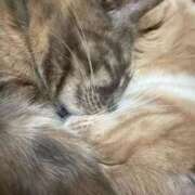 ヒメ日記 2025/09/23 23:46 投稿 あくび feel＆airi