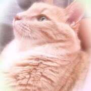 ヒメ日記 2025/10/13 18:36 投稿 あくび feel＆airi