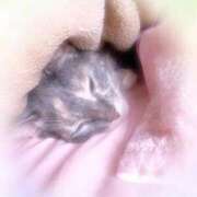 ヒメ日記 2025/10/26 17:56 投稿 あくび feel＆airi