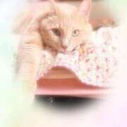 ヒメ日記 2025/10/29 22:16 投稿 あくび feel＆airi