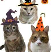 ヒメ日記 2025/10/31 19:46 投稿 あくび feel＆airi