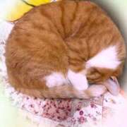 あくび ありがとう🤗 feel＆airi