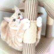 あくび いろいろありがとうm(*_ _)m feel＆airi