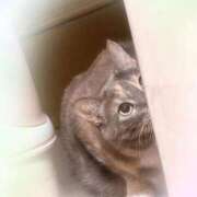 あくび ヽ(^^)ﾉ feel＆airi