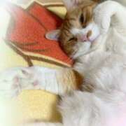 あくび ^._.^ feel＆airi