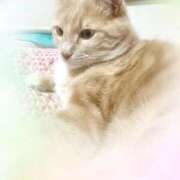 ヒメ日記 2025/12/07 22:16 投稿 あくび feel＆airi