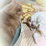 ヒメ日記 2025/12/21 17:36 投稿 あくび feel＆airi