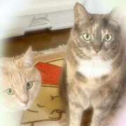 ヒメ日記 2025/12/26 22:36 投稿 あくび feel＆airi