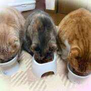 あくび ありがとう(*^▽︎^)ﾉ feel＆airi