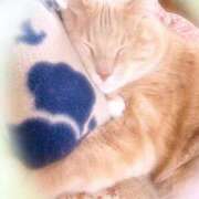 あくび ありがとう...♪*ﾟ feel＆airi