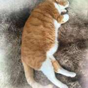 あくび おはようございます(^^)/ feel＆airi