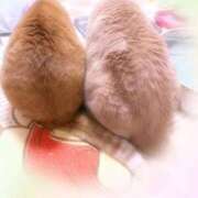 ヒメ日記 2026/05/28 08:38 投稿 あくび feel＆airi