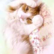 ヒメ日記 2026/06/25 08:35 投稿 あくび feel＆airi