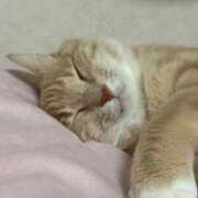ヒメ日記 2026/07/01 11:55 投稿 あくび feel＆airi