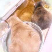 ヒメ日記 2026/07/28 00:05 投稿 あくび feel＆airi