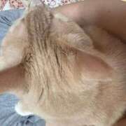 ヒメ日記 2026/08/04 23:25 投稿 あくび feel＆airi