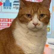 ヒメ日記 2026/08/05 07:35 投稿 あくび feel＆airi
