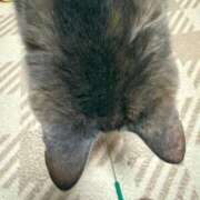 ヒメ日記 2026/08/11 08:35 投稿 あくび feel＆airi