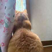 ヒメ日記 2026/08/12 08:45 投稿 あくび feel＆airi
