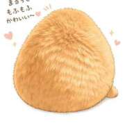 ヒメ日記 2026/09/09 07:55 投稿 あくび feel＆airi