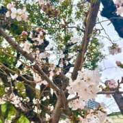 ヒメ日記 2025/03/28 10:14 投稿 新田ユウ ビギナーズエステ ROOMiE＋（ルーミープラス）