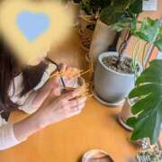 ヒメ日記 2025/06/11 07:17 投稿 新田ユウ ビギナーズエステ ROOMiE＋（ルーミープラス）