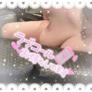 ヒメ日記 2025/02/15 10:54 投稿 さきか 埼玉本庄ちゃんこ