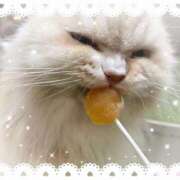 ヒメ日記 2025/03/18 15:17 投稿 さきか 埼玉本庄ちゃんこ