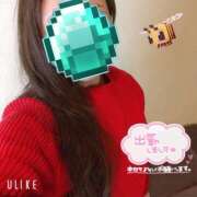 ヒメ日記 2025/02/24 12:03 投稿 暁ナオ フォーナイン熊本