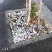 ヒメ日記 2025/02/24 12:42 投稿 暁ナオ フォーナイン熊本