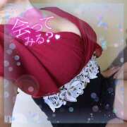 ヒメ日記 2025/02/25 16:42 投稿 暁ナオ フォーナイン熊本