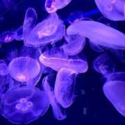 ヒメ日記 2025/03/04 15:42 投稿 暁ナオ フォーナイン熊本