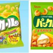 ヒメ日記 2025/03/05 16:32 投稿 暁ナオ フォーナイン熊本