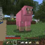 ヒメ日記 2025/03/08 17:42 投稿 暁ナオ フォーナイン熊本