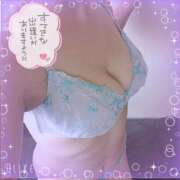 ヒメ日記 2025/03/17 14:42 投稿 暁ナオ フォーナイン熊本