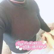 ヒメ日記 2025/03/20 12:04 投稿 暁ナオ フォーナイン熊本