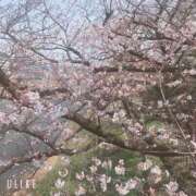 ヒメ日記 2025/03/25 12:44 投稿 暁ナオ フォーナイン熊本