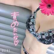 ヒメ日記 2025/03/31 13:32 投稿 暁ナオ フォーナイン熊本