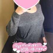 ヒメ日記 2025/04/04 12:04 投稿 暁ナオ フォーナイン熊本