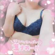 ヒメ日記 2025/04/08 17:42 投稿 暁ナオ フォーナイン熊本