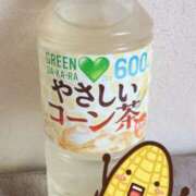 ヒメ日記 2025/04/12 13:42 投稿 暁ナオ フォーナイン熊本