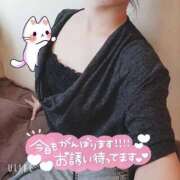 ヒメ日記 2025/04/24 11:52 投稿 暁ナオ フォーナイン熊本